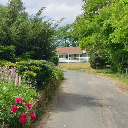 11 Chalet Albizia Chalet Blavignac